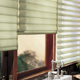 Pirouette Window Shadings